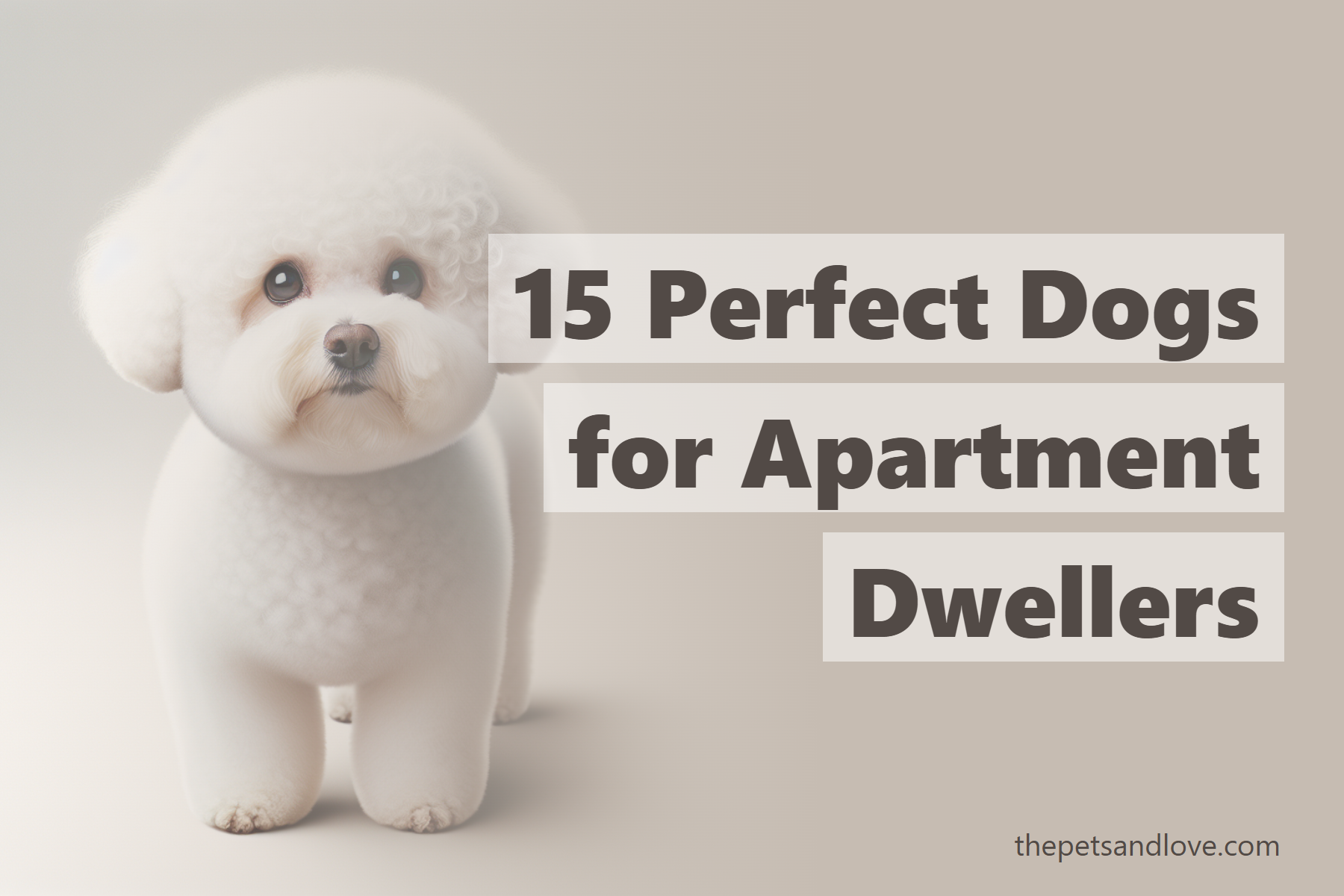 15 Perfect Dogs for Apartment Dwellers
