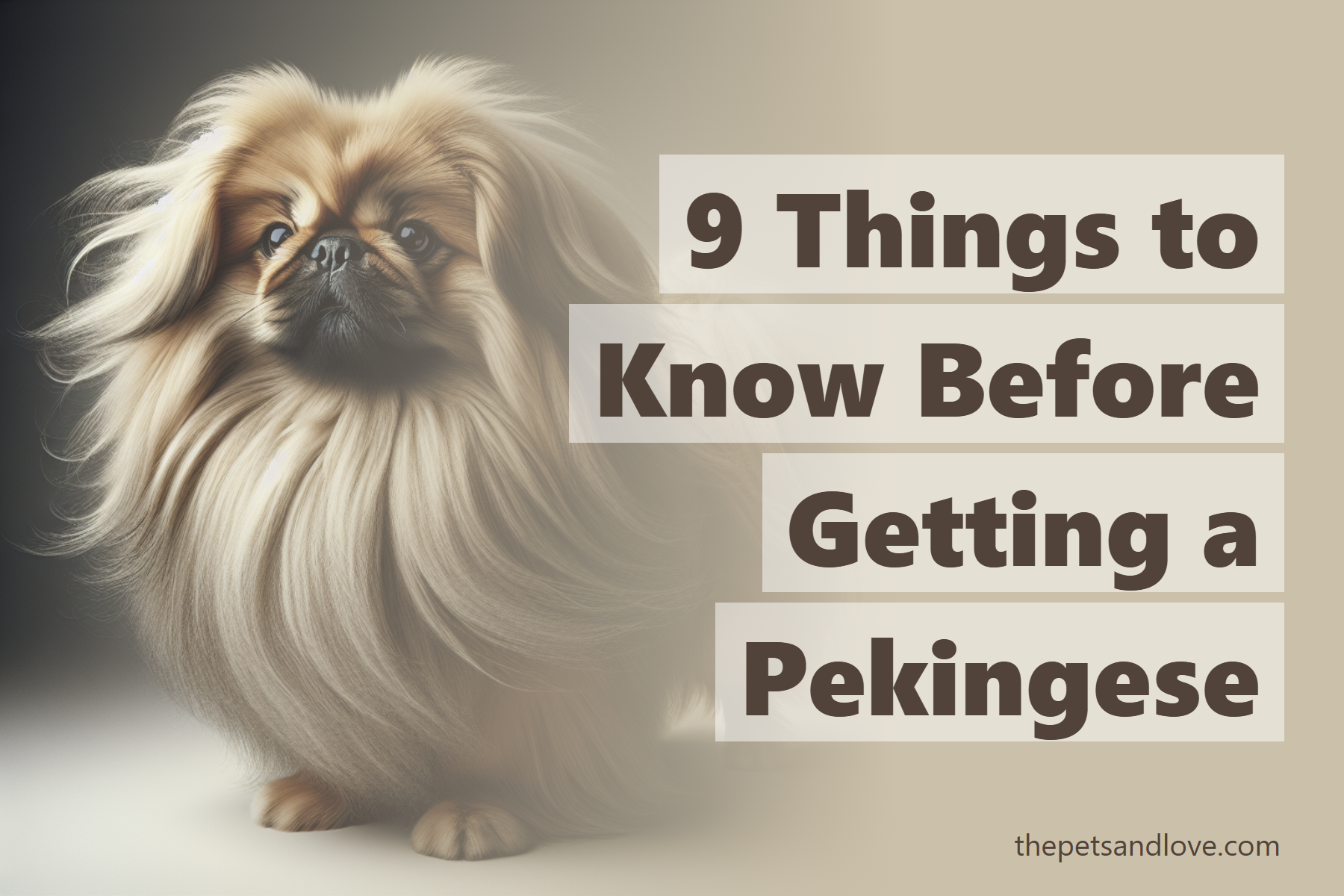 9 Things to Know Before Getting a Pekingese